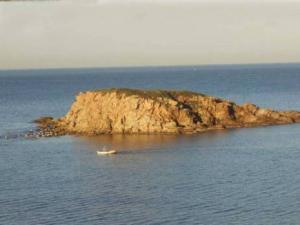 Tipasa - Grand port commercial ou catastrophe écologique ?