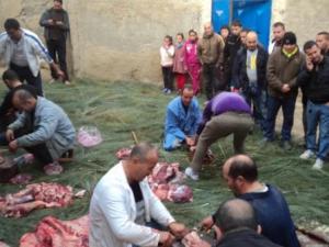 Louziaa du 24 décembre 2015 à Lemroudj