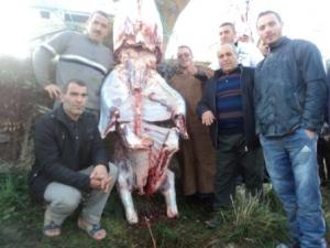 Louziaa du 24 décembre 2015 à Lemroudj