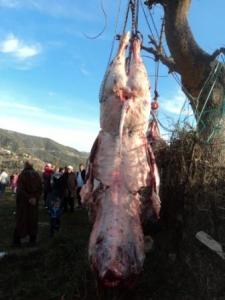 Louziaa du 24 décembre 2015 à Lemroudj