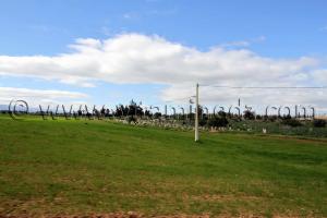 Tlemcen - Commune Ain youcef, cimetière village de Boukoura