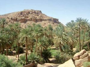 Taghit - L’oasis «submergée» par les visiteurs