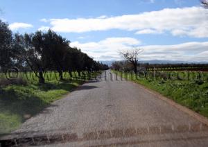 Tlemcen - Commune Ain youcef, village de Boukoura