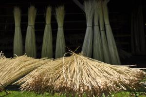 Oran - SALON NATIONAL DE L’ARTISANAT:  Appel à la plantation d'osier dans les zones humides