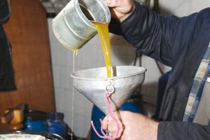 JIJEL -  L’huile d’olive trop chère