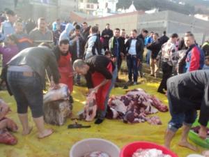 Louziaa du 24 décembre 2015 à Lemroudj