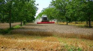 Planète -  France: L’agroforesterie ou l’arbre paysan