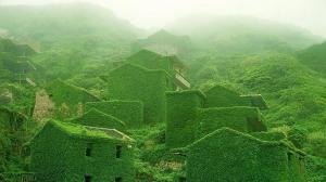 Planète - Chine: Des murs parés de lierre