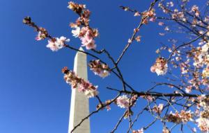 Planète -  Décembre 2015 le plus chaud jamais enregistré aux Etats-Unis (météorologues)