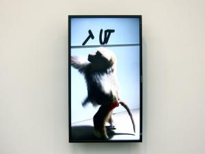 ADEL ABDESSEMED au the David Zwirner Gallery, New York