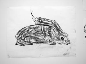 ADEL ABDESSEMED au the David Zwirner Gallery, New York