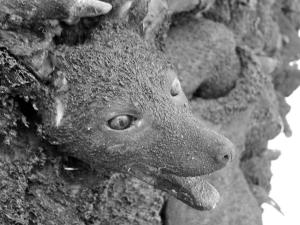 ADEL ABDESSEMED au the David Zwirner Gallery, New York