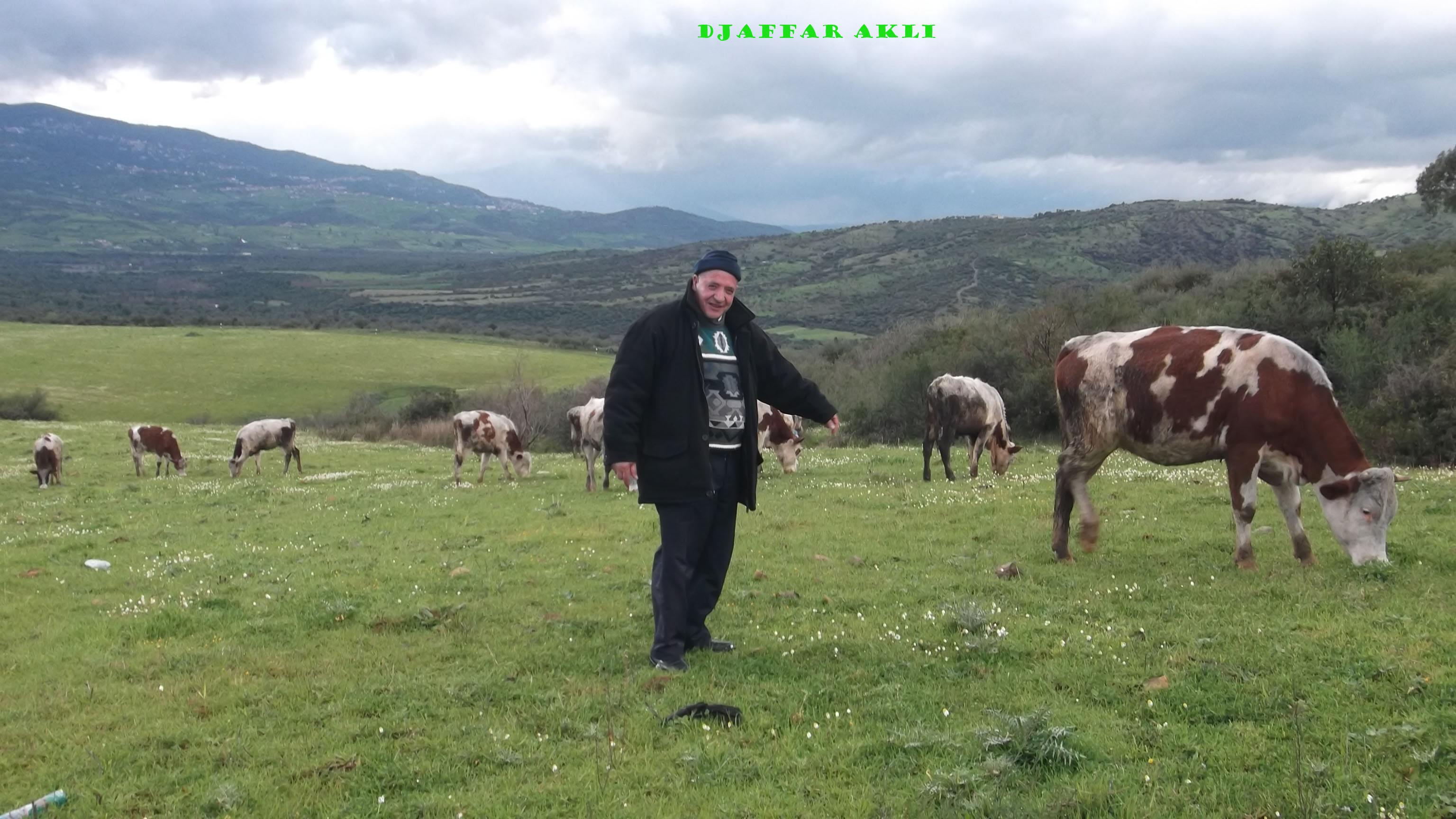 comme c est formidable de devenir berger