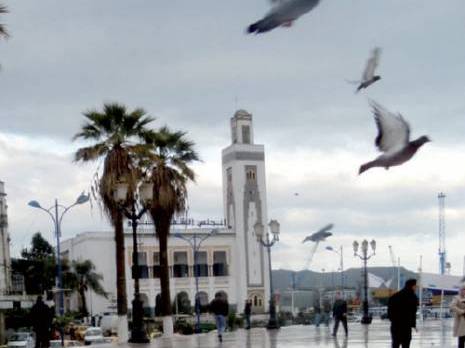 Skikda envahie par les pigeons:  Des édifices transformés en grands pigeonniers