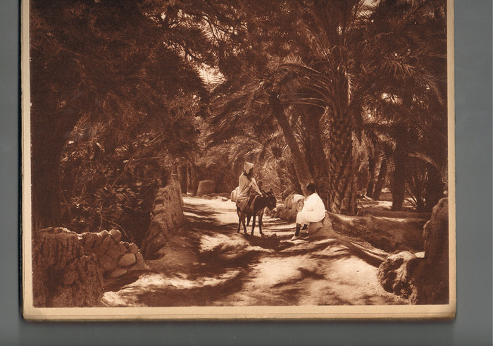 Algérie - Le Sahara Ses Oasis - 1934