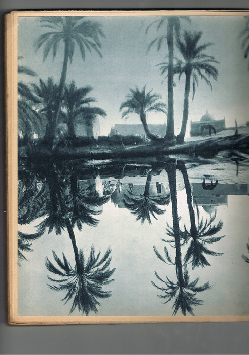 Algérie - Le Sahara Ses Oasis - 1934