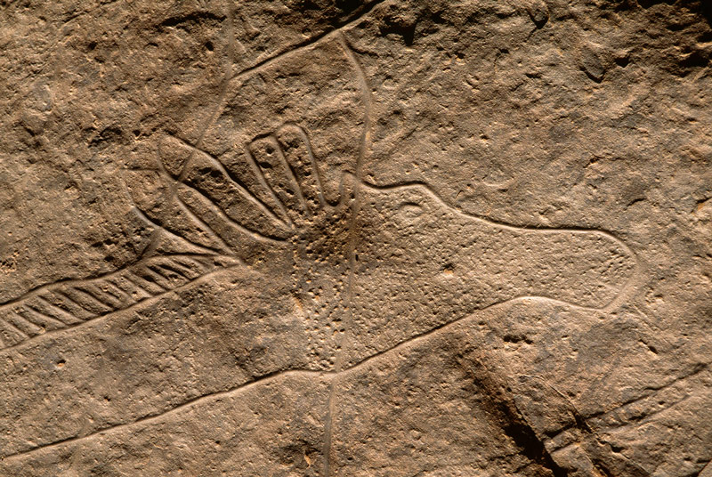 Oued Djerat, Algerie.Tête de grande girafe. points de billets utilisés comme décoration visage. Petit cupule ci-dessous oeil.