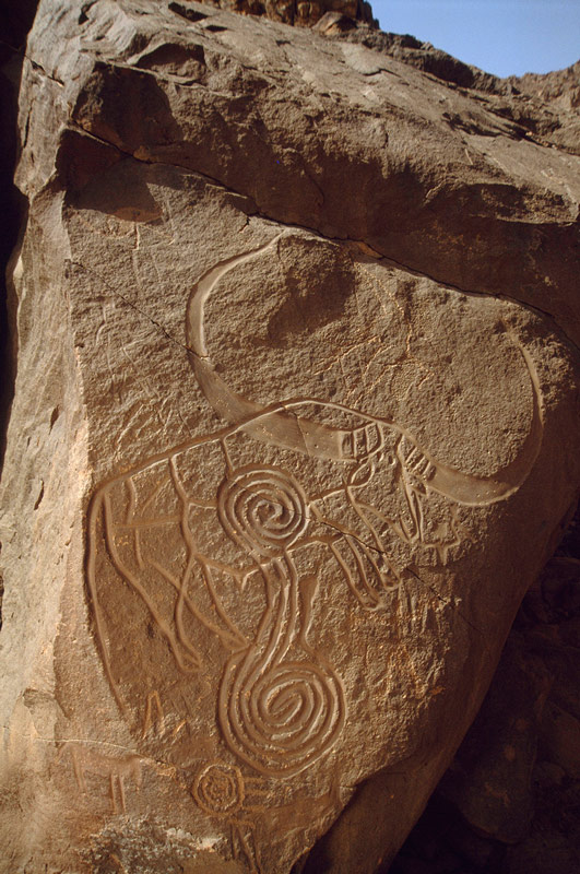 Oued Djerat, Algérie. Bubalus. Cornes énormes sont polies avec des patrons décorées. Possible 'collier' sur le cou. Homme picoté se situe en deçà de la tête de Bubalus.