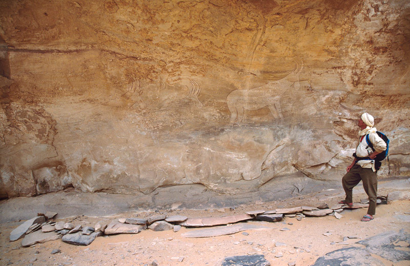 Algérie - Tassili, Gravures rupestres