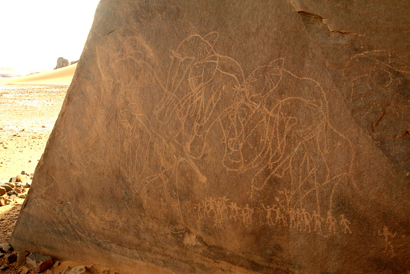 Tadrart, Algérie. Vue plus rapprochée de l'article gauche des éléphants gravés.