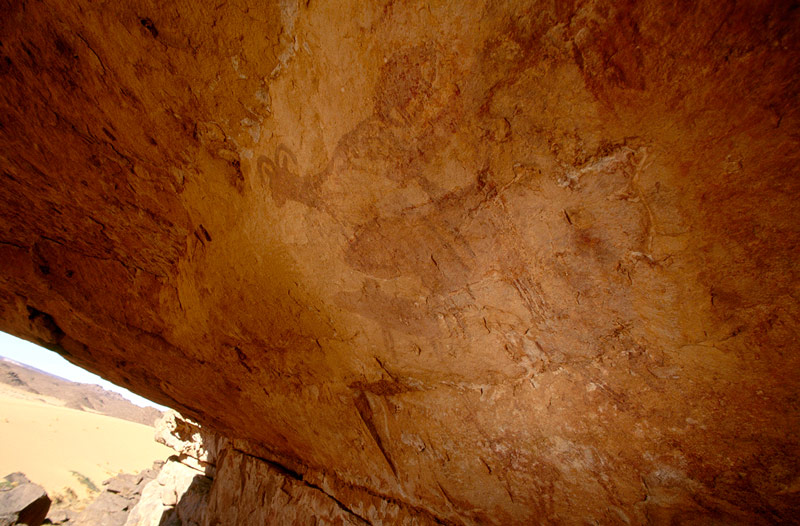 Tassili Infedanioune, Algeria.Oblique vue de grand panneau de mouflon (Moutons de Barbarie) et d'autres animaux non identifiés (mouton?)
