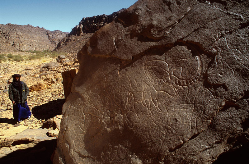 Oued Djaret, Algérie. Close-up de Bubalus et les hommes à tête de chien.