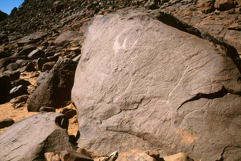 Oued Djaret, Algérie. Vue oblique d'une gravure de lignes avec des lignes fines polies d'hippopotames avec petite antilope à la gauche de celui-ci.