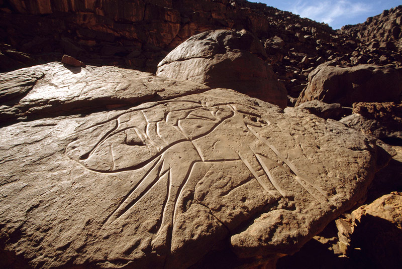 Oued Djerat, Algérie. Vue oblique de l'homme profondément incisé tourné vers la droite. Il porte un casque, jupe et bracelets de retour, a d'énormes testicules pendent entre les jambes entrouvertes et détient arc chargé d'une main.