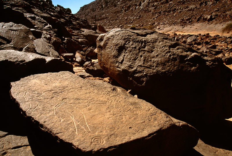 Oued Djerat, Algérie. Vue oblique de l'homme profondément incisé tourné vers la droite. Il porte un casque, jupe et bracelets de retour, a d'énormes testicules pendent entre les jambes entrouvertes et détient arc chargé d'une main.