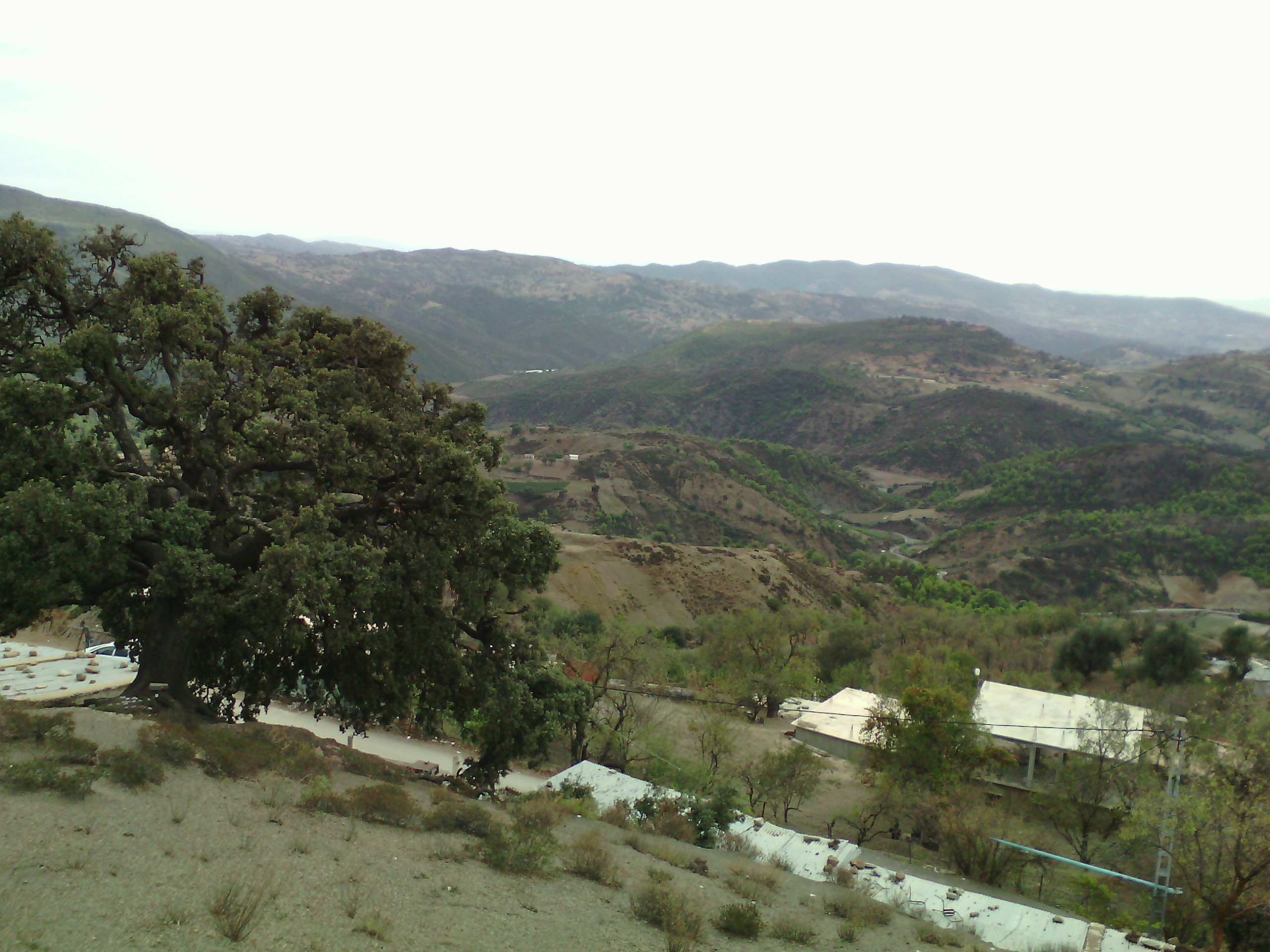 Ouled Aissa Zatima Benimileuk Tipaza