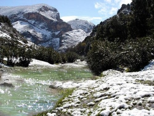 ابداع الخالق