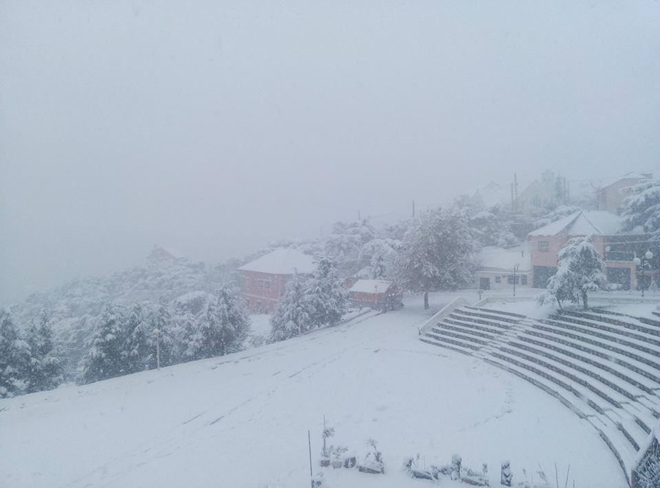 premières chute de neige,sur Chréa.
