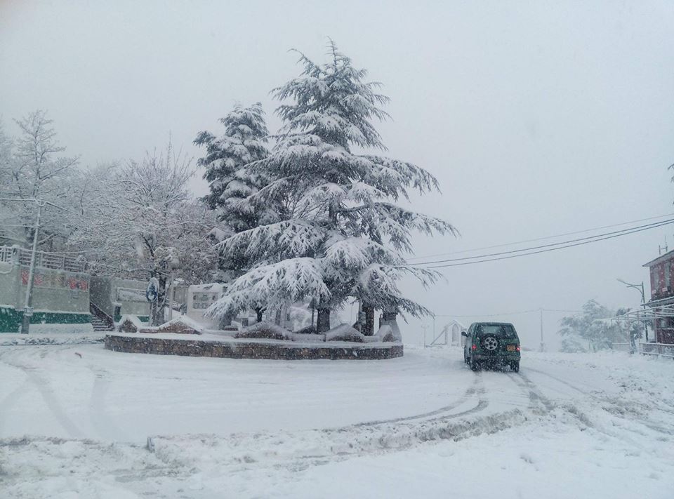 premières chute de neige,sur Chréa.