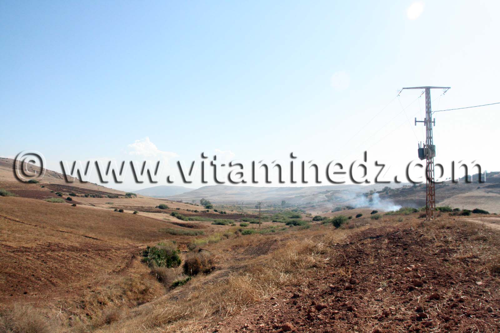 أرض فلاحية مساحة 37 هكتارا في سيدي ورياش (ولهاصة) للبيع في مكان يدعى زبوجة