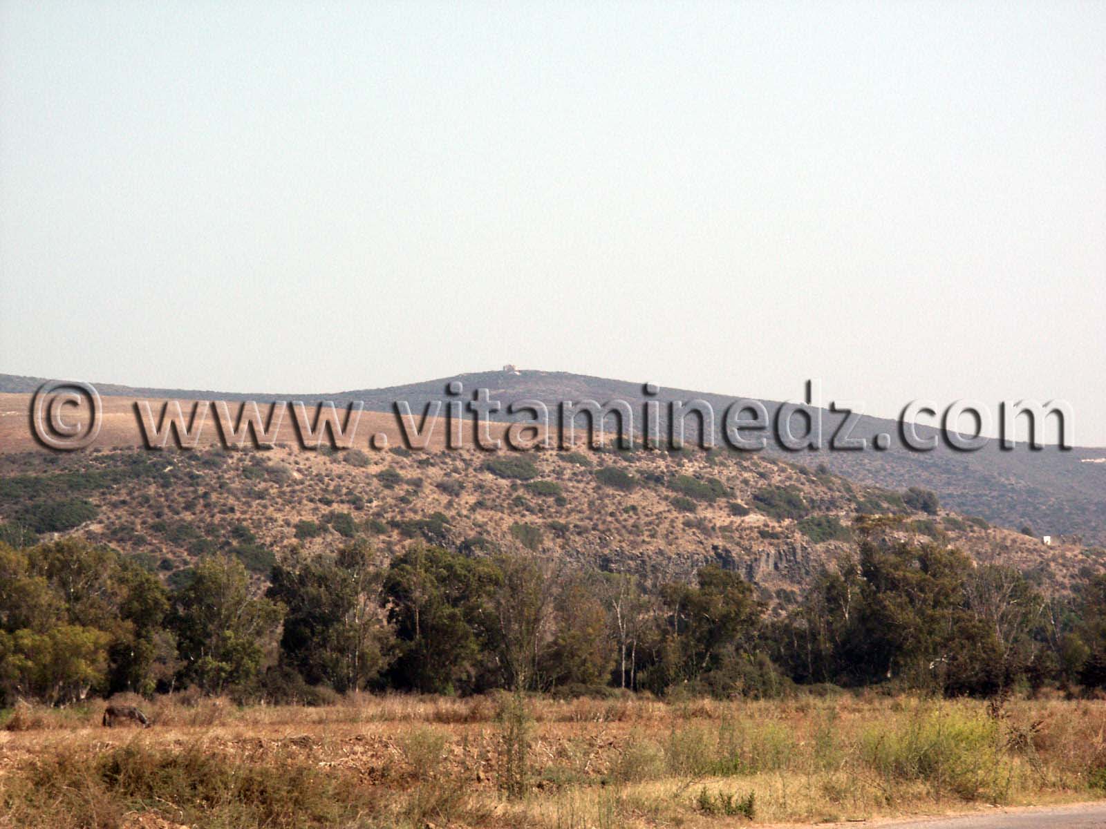 Mausolée de Syphax  vue de loin sur les hauteurs (Oulhassa - Wilaya Ain Temouchent)
