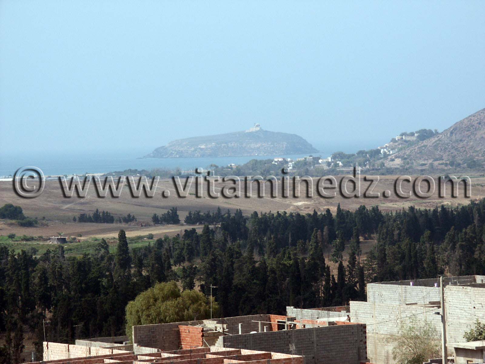 L'ile de Rachgoun vue du Village de Siga (Oulhassa - Wilaya Ain Temouchent)
