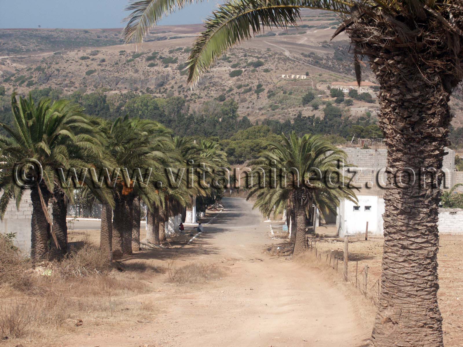 Entrée du Village de Siga (Oulhassa - Wilaya Ain Temouchent)