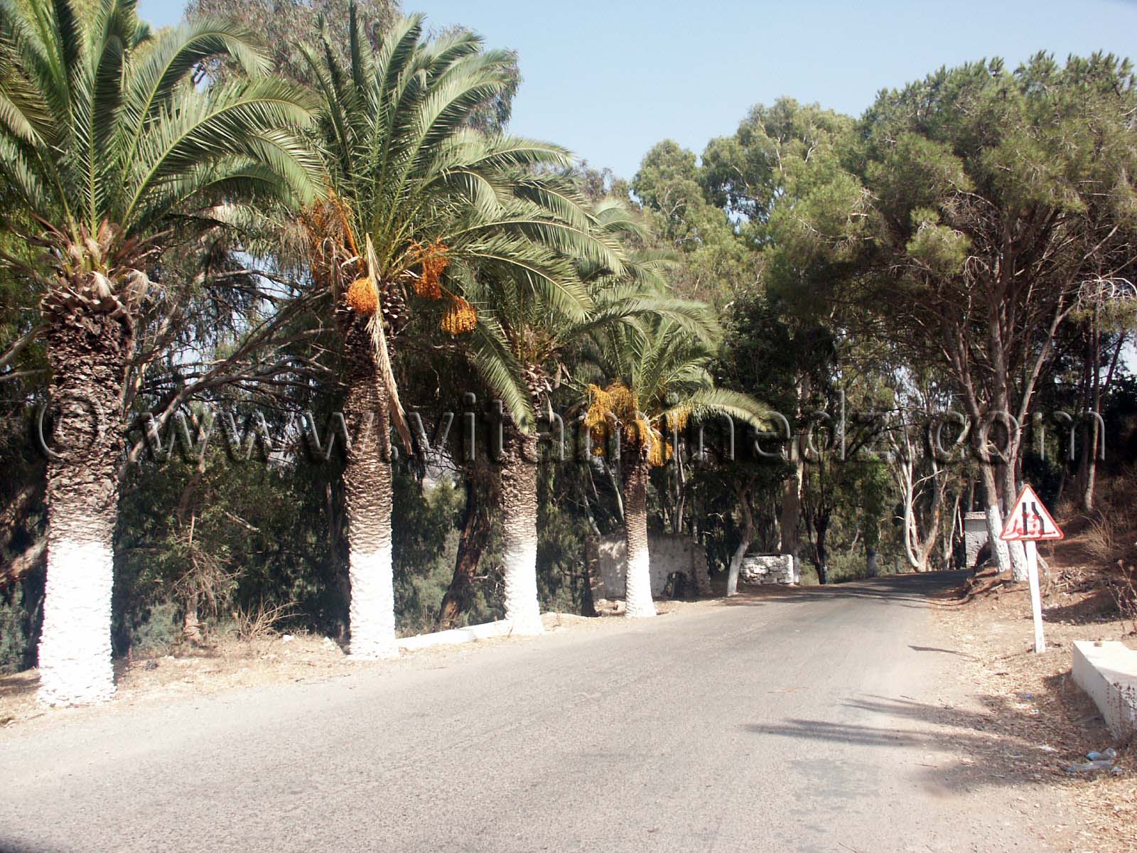 Entrée du Village de Siga (Oulhassa - Wilaya Ain Temouchent)