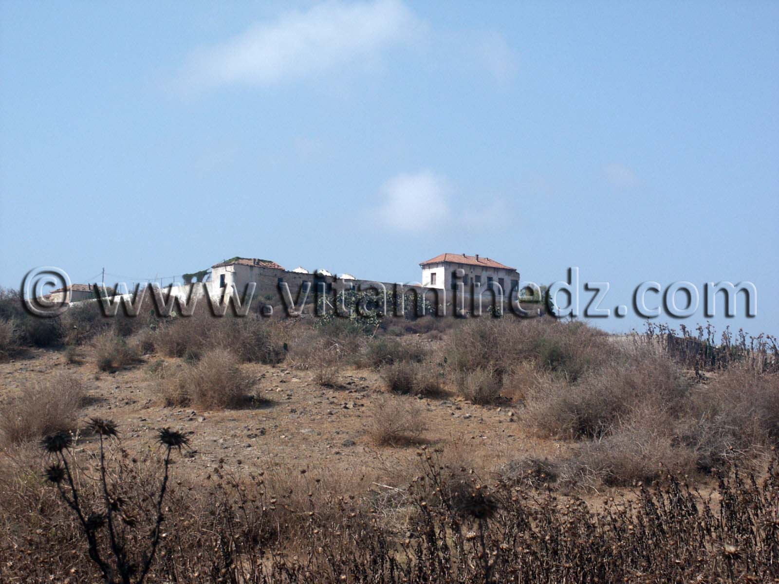 Villa coloniale à Siga (Oulhassa - Wilaya Ain Temouchent)