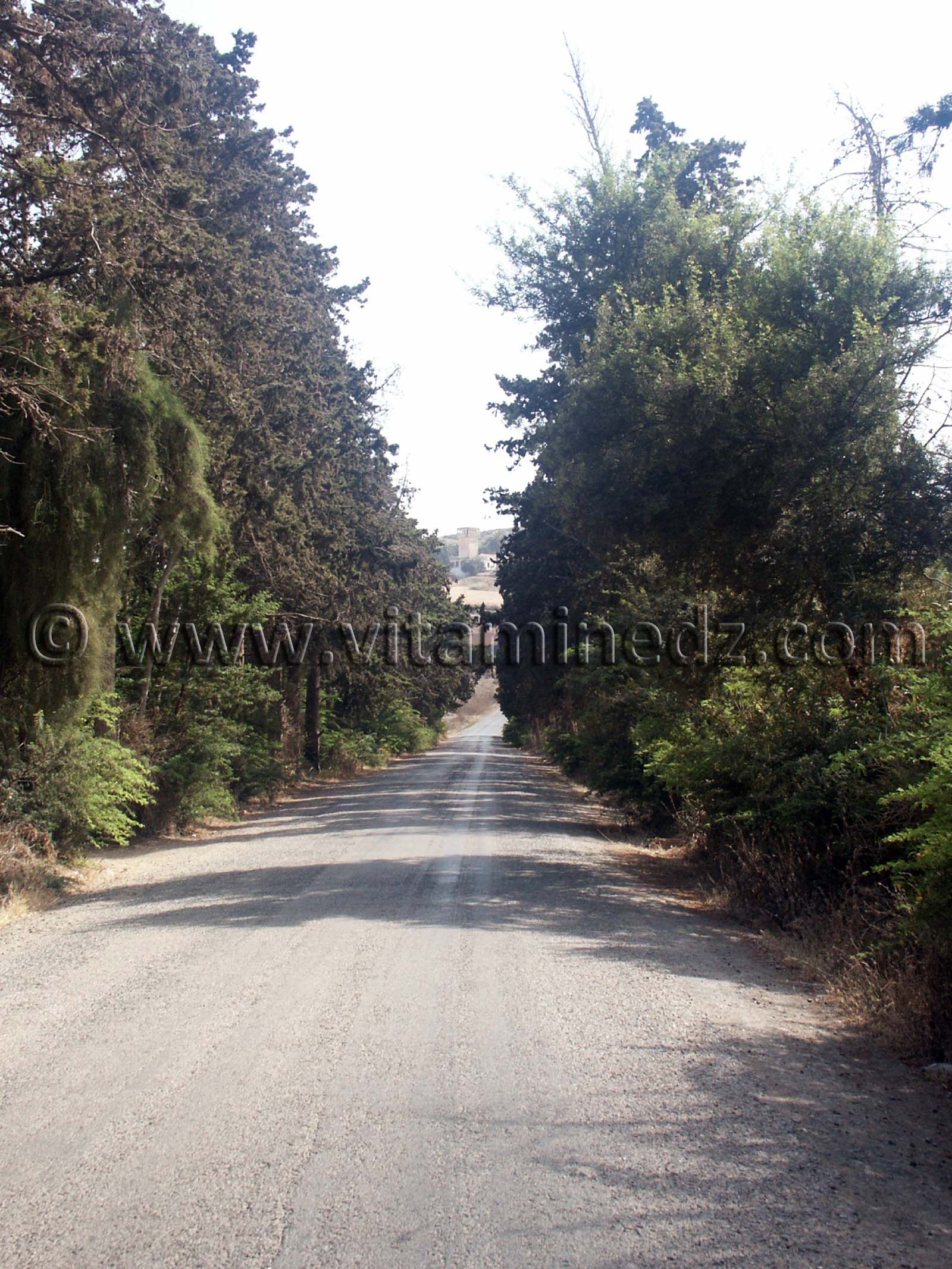 Route vers Village de Siga (Oulhassa - Wilaya Ain Temouchent)