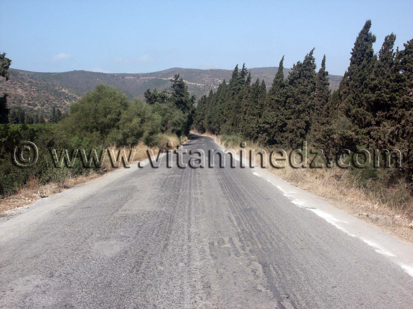 Route vers Village de Siga (Oulhassa - Wilaya Ain Temouchent)