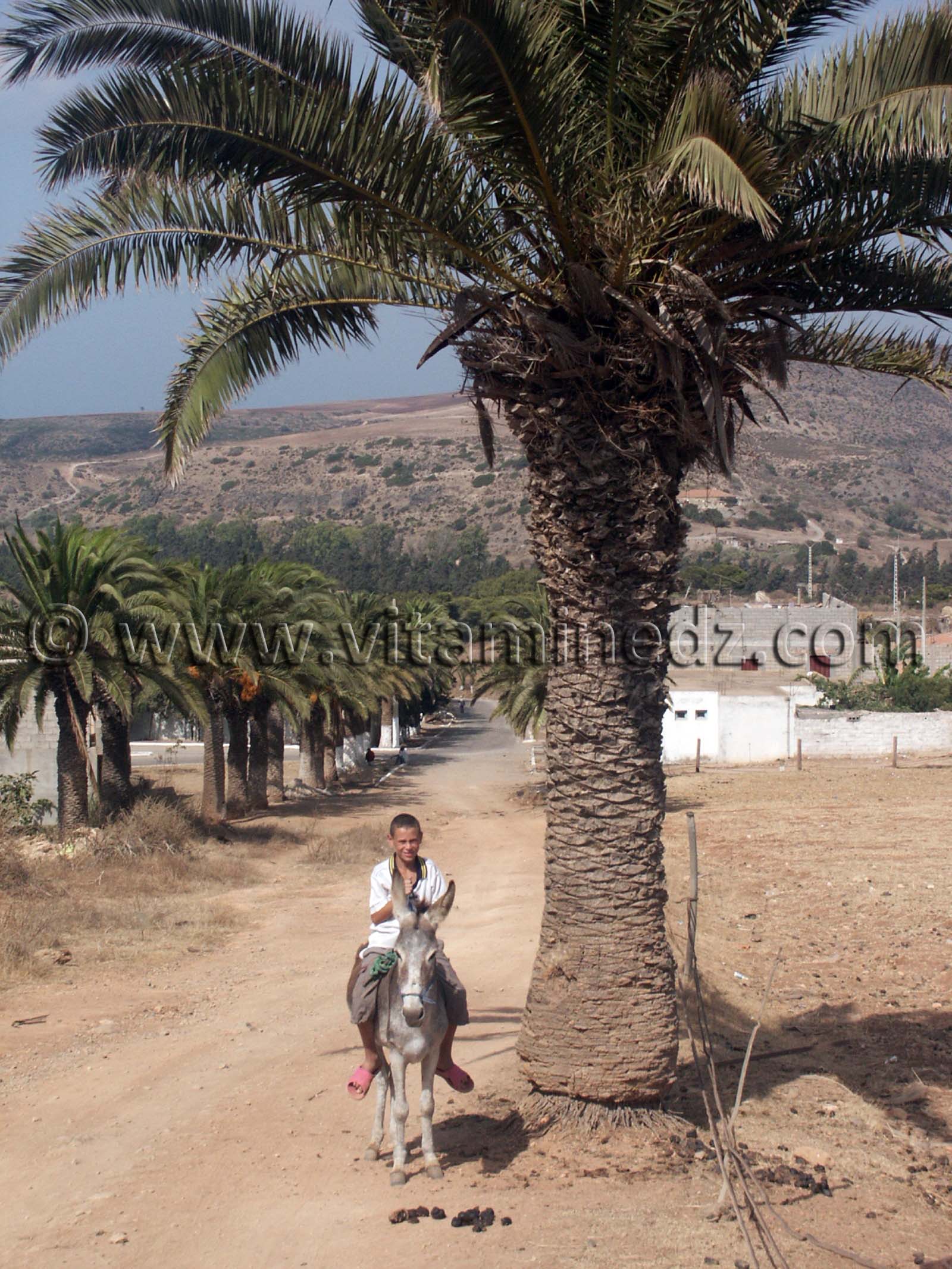 Enfant du Village de Siga (Oulhassa - Wilaya Ain Temouchent)