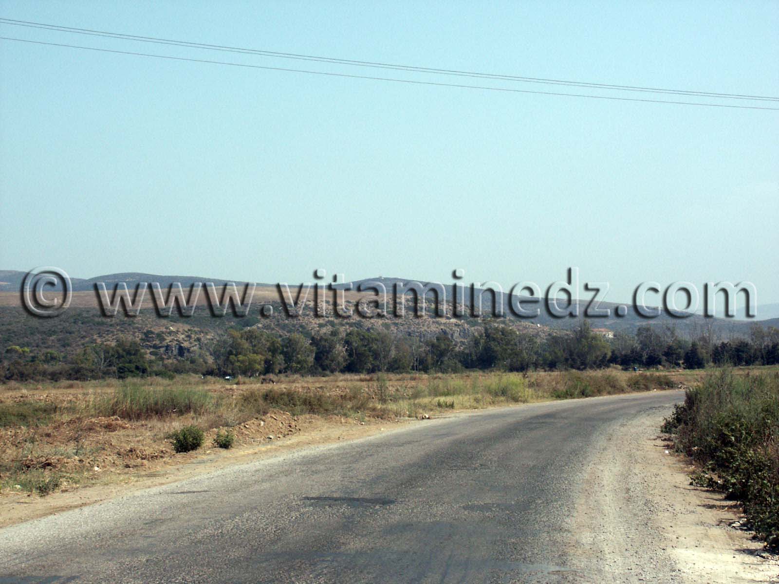 Siga (Oulhassa - Wilaya Ain Temouchent)