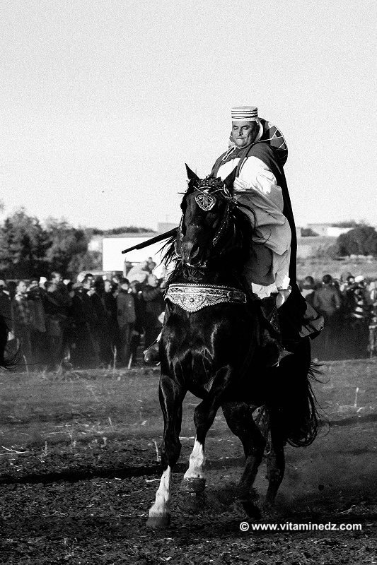 وعدة سيدي الصافي - ولاية عين تموشنت