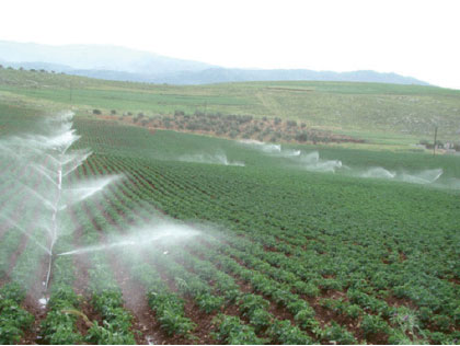 Oran -  La plaine de M’lata sera irriguée avec des eaux épurées