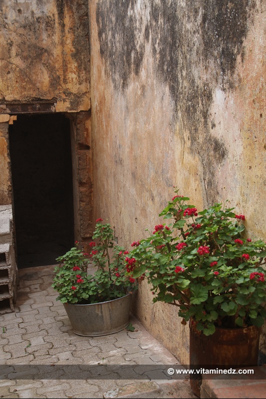 Tlemcen - Marabout de Sidi Boubker au Quartier historique d'El Eubbad