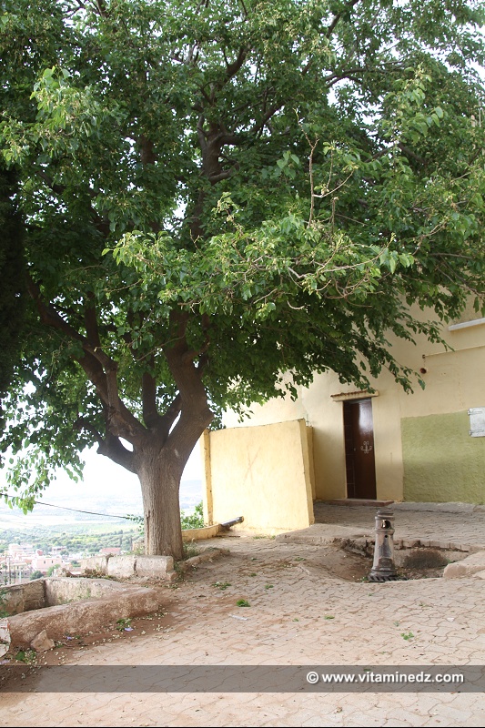Tlemcen - Quartier historique d'El Eubbad
