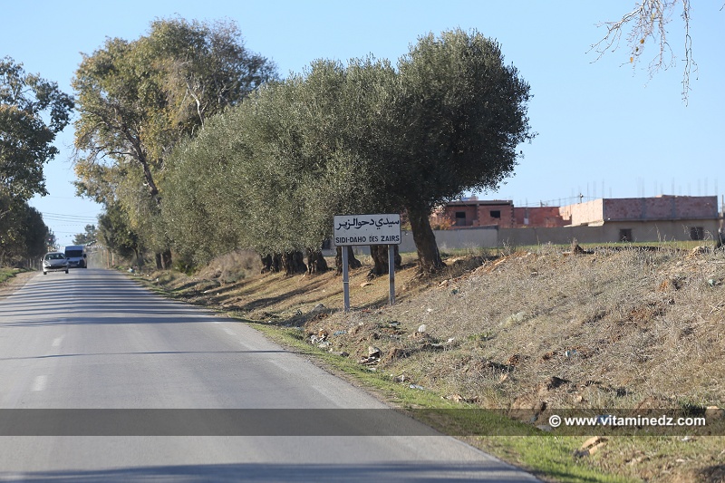 Entrée de Sidi Daho Des Zairs