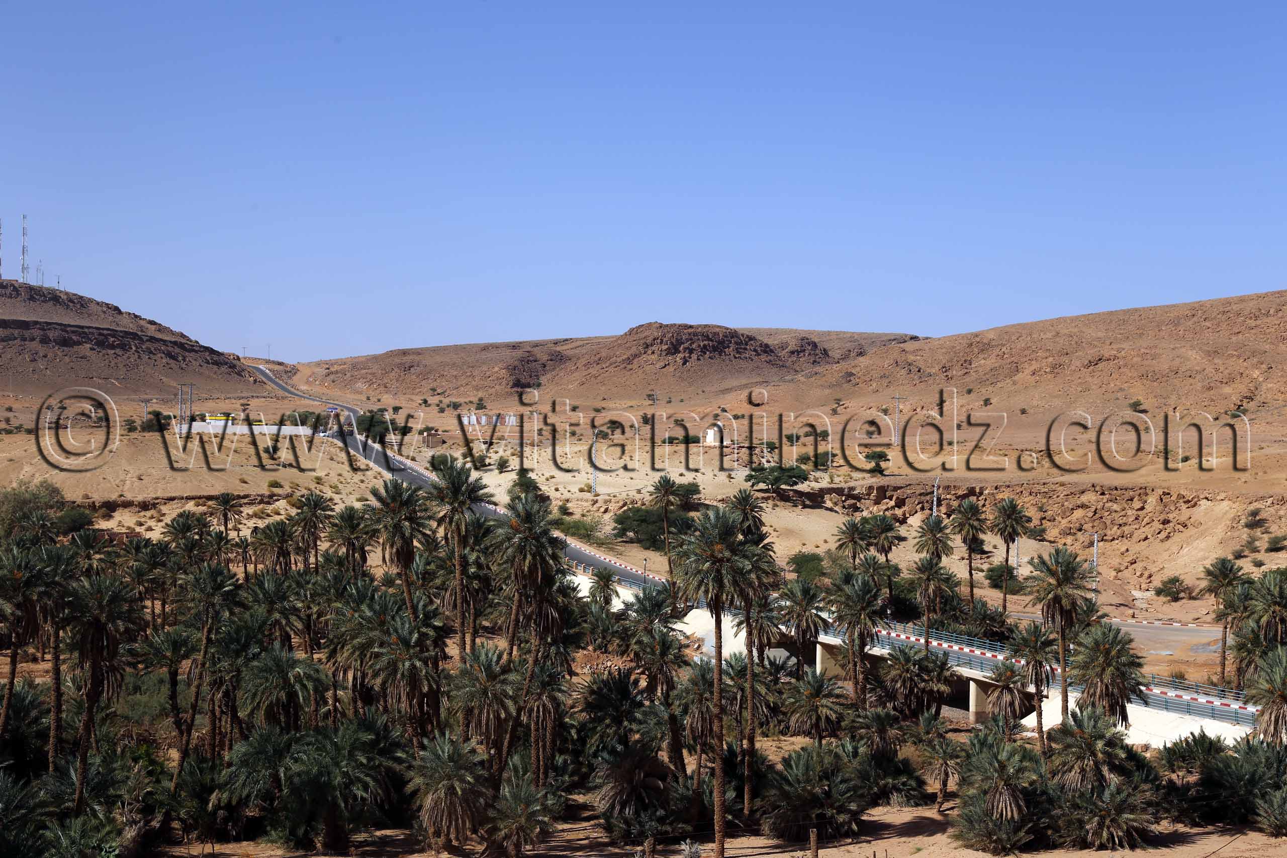Taghit - Vue depuis l'Hôtel La Saoura (W. Béchar)