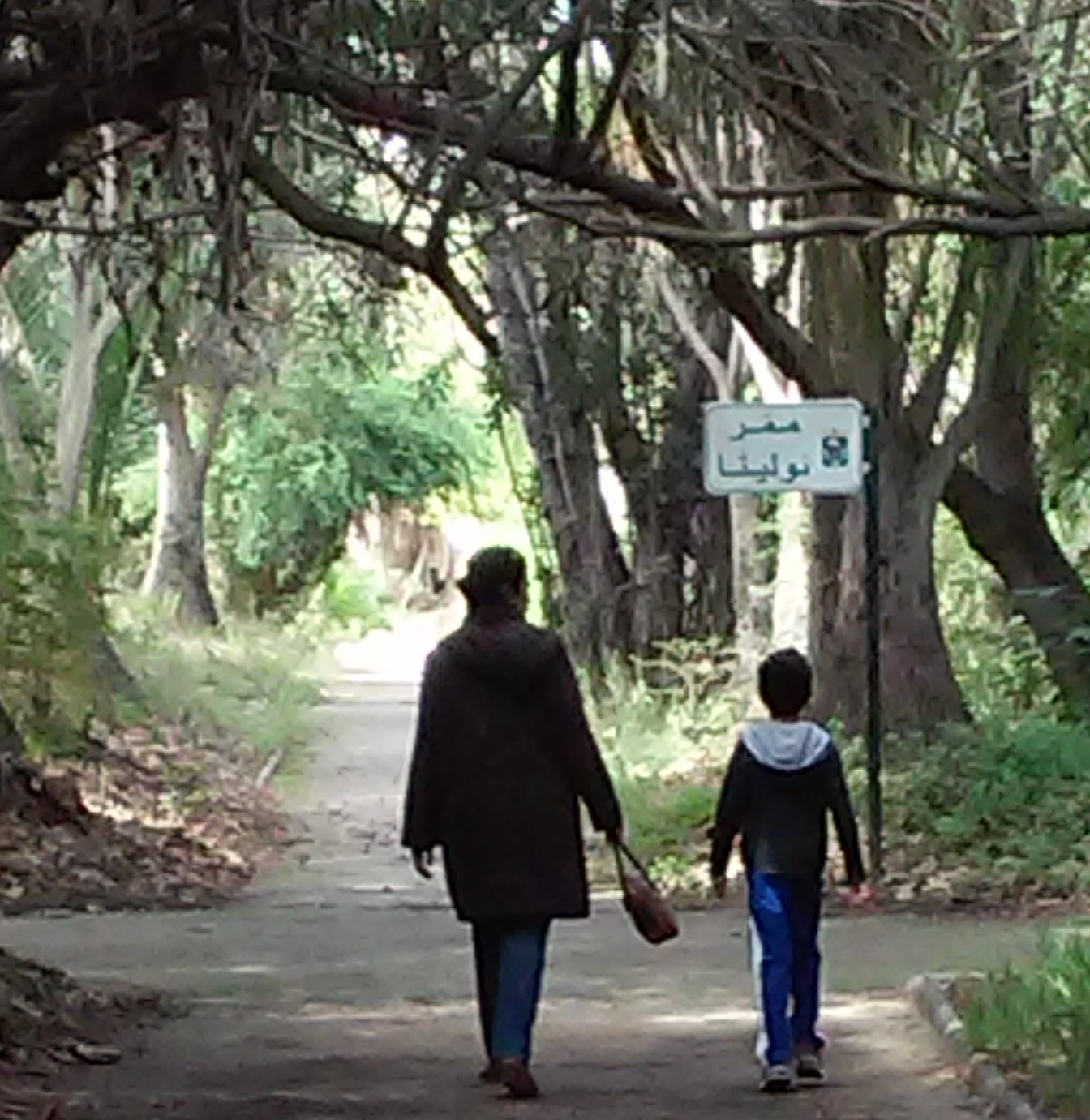 حديقة التجارب